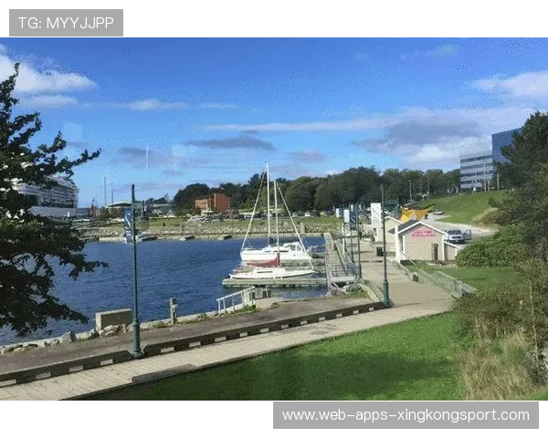 海港的商业合作伙伴名单公开，资源整合在路上